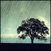 RAIN.gif image by SJS_012